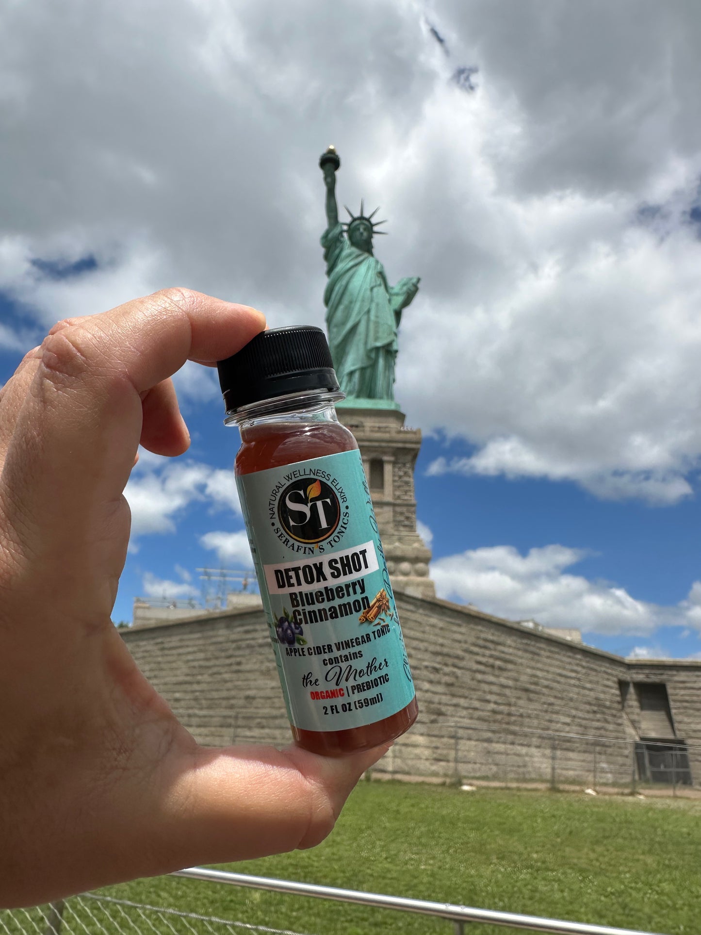DETOX Shot | Blueberry Cinnamon | Pack of 4