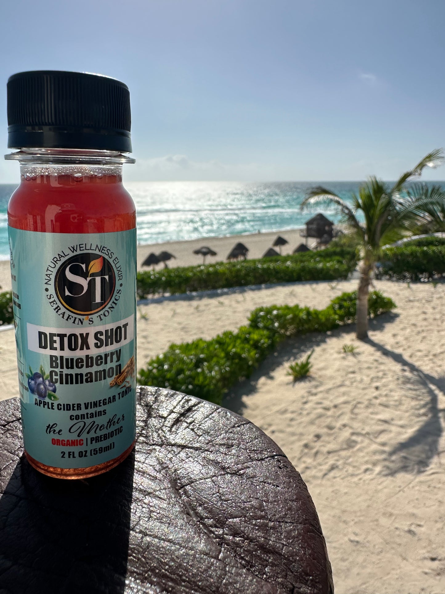 DETOX Shot | Blueberry Cinnamon | Pack of 4