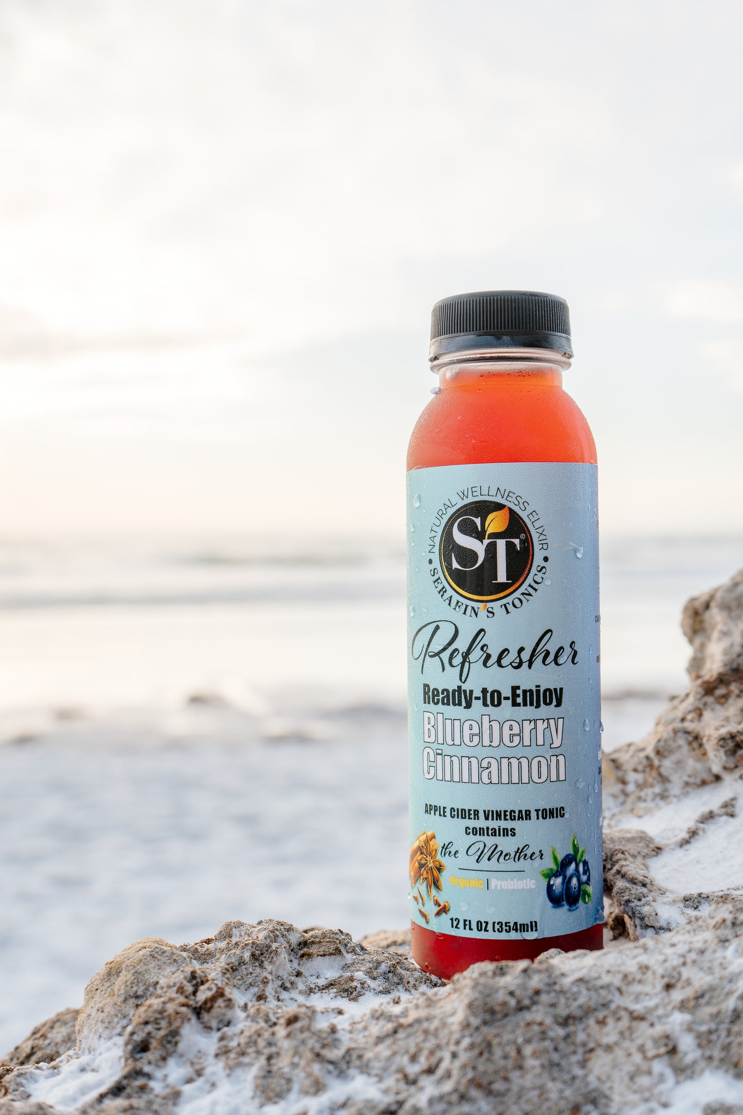 REFRESHERS | Blueberry Cinnamon | Pack of 4