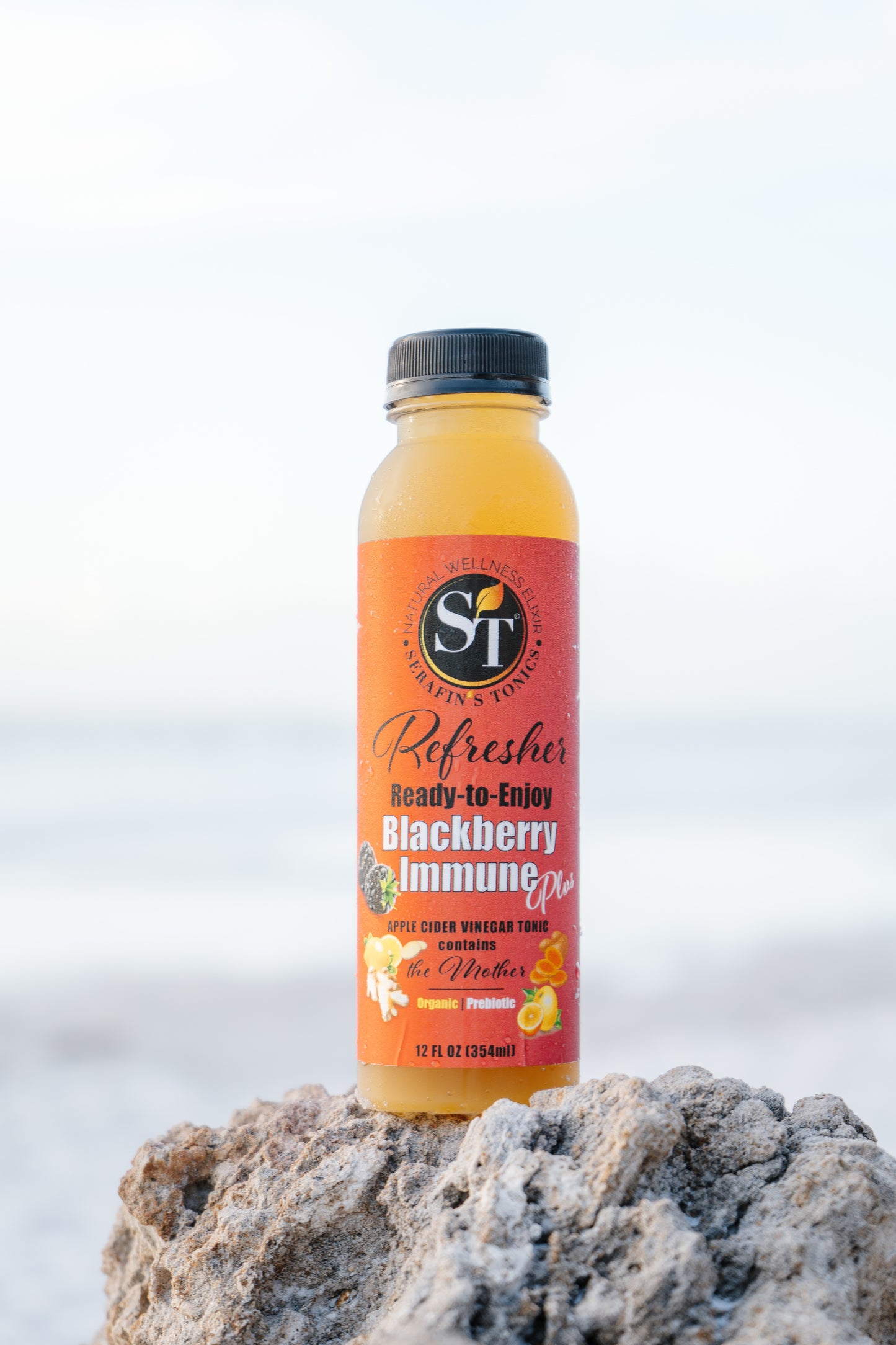 REFRESHERS | Blackberry Immune | Pack of 4